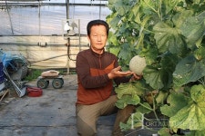 곡성 멜론의 이름값 제대로 해야죠!