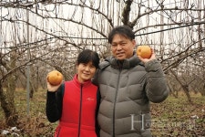 향긋한 배 과수원에서 만든 고품질 배즙