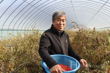 생각에 생각을 더해 선도농가로 발전하다