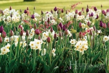 정원 관리로 따뜻한 겨울나기