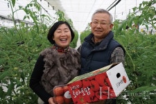 행복을 나누는 토마토 농장 만들고 싶어요