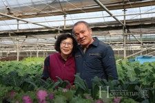 식물공장으로 건강한 농산물 생산하고파