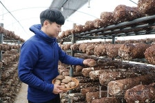 고품질 표고버섯, G마크 인증으로 날개 달다