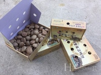 고품질 표고버섯, G마크 인증으로 날개 달다