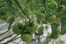 주경야독으로  농민의 마음을 이해하다