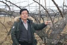 꾸준히, 열심히 배농가 명성 이어간다