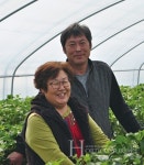 식물성유기게르마늄 친환경 딸기 생산