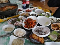 3~ 5월이 제철, 김포 대명항 맛집 제철맞이 쭈꾸미 목포군산횟집