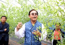 천황 대추 1년만에 수확, 고소득 보인다