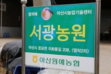 [아산 배] 수출시장 판로 확대로 농가 소득 올립니다