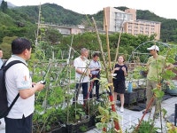 도시농업과  비즈니스 대상으로 발전한  홍콩의 옥상텃밭