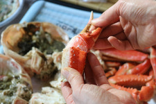 대형 수족관 배치로 눈길 사로잡는 대영유통 강릉 주문진·경포대 맛집