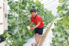 항산화가 필요하세요? 캔탈로프 멜론을 드셔보세요!