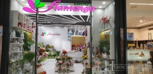 공정무역 화훼에 대한  소비가 증가하고 있는 유럽