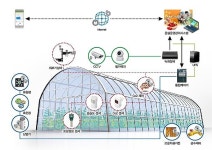 IOT 스마트 팜 농사짓다