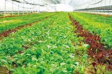 친환경 유기농법, 원칙으로 신뢰 쌓는다