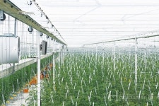 보다 정밀하게,  작은 개선이  기술 혁명 이끈다