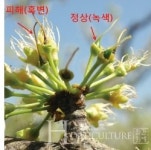 매해 발생하는 이상저온,  일상의 대비로 피해 최소화해야
