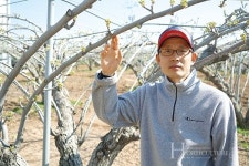 배박사동물변원 | 꿈을 이루러 돌아온 농학박사, 천안 배의 가치를 높이다