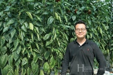 파프리카 생산량 증가의 비밀,  데이터 농업