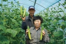 아우내오이,  온라인 직거래로  소득안정의  길을 열다
