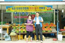 2억 매출의 비결은 깊은 단맛 친환경 퇴촌 토마토