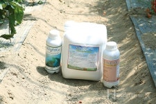 아제론으로 충, 균 잡고 맛까지 올렸어요