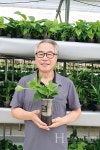 카카오 메이커스에 진출한 그린라이프 특허받은 화분 용기에 NASA가 선정한  3종 식물로 소비자 사로잡아