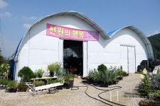 다육으로  소소한 행복을 누렸으면 좋겠어요