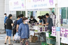 제23회 김포 포도직거래장터, 방역수칙 준수하며 성황리 개최