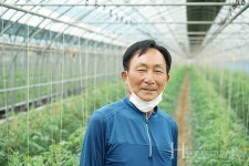 코퍼트코리아  나투벌,  토마토 수정에 효자