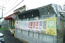 코퍼트코리아  나투벌,  토마토 수정에 효자