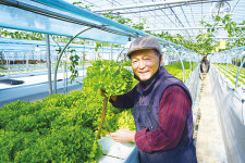 아쿠아포닉스로 키운 믿고 먹을 수 있는 농산물