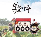 [연중기획] 오색 아름다운 맛에 반하다 단풍미인