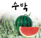 [연중기획] 오색 아름다운 맛에 반하다 단풍미인