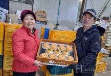 순천 낙안배 몽골에 수출길 활로 개척