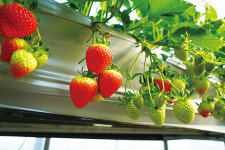 학표 센타그립 코팅필름, 습도 조절하고 응애 없어 99% 만족