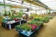 허브를 이용해 자신만의 색을 찾다