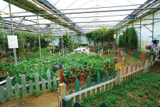 허브를 이용해 자신만의 색을 찾다