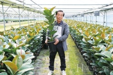 나만의 작은 산소 공기정화식물과 만나다