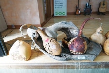 잘산대마을에 대롱대롱 60여 종의 박을 만나다