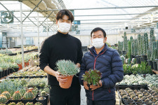 희소성 있는 자신만의 다육식물 재배해야