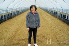 (주)그린랩스 팜모닝 멤버십 애플수박 패키지 1호 농가… 애플수박 전용 스마트팜 구축