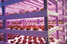 지하철, 남극에도 설치된 팜에이트(Farm8) 인도어팜
