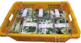 지하철, 남극에도 설치된 팜에이트(Farm8) 인도어팜