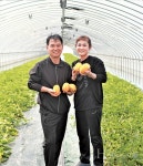 선명한 노란빛과 아삭하고 달콤한 맛으로 농가소득 쑥쑥