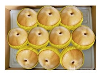 우리 신품종 배의 우수성  널리 전하고 싶어요