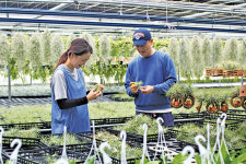 단조로운 일상에 스며든 초록빛 행복