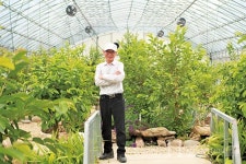 새로운 품종의 구아바를 탄생시킨 선구자