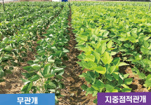 자동물관리시스템으로 수확량 높이고 노동력 줄이고